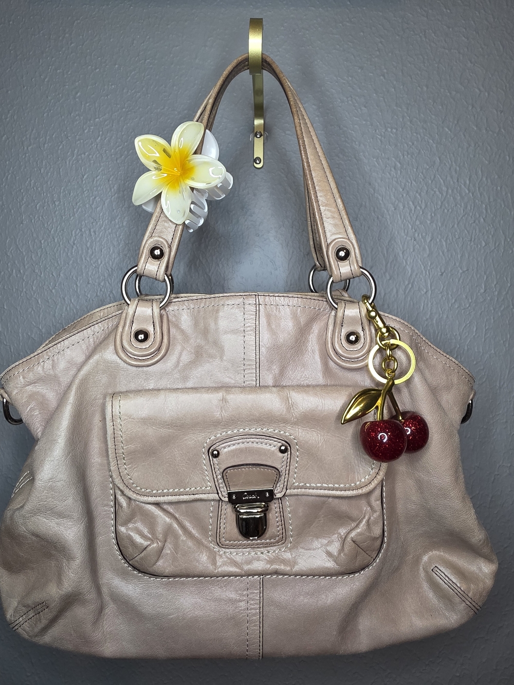 Coach Poppy Leather Rocker Satchel